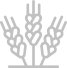 Proyectos Ejecutados